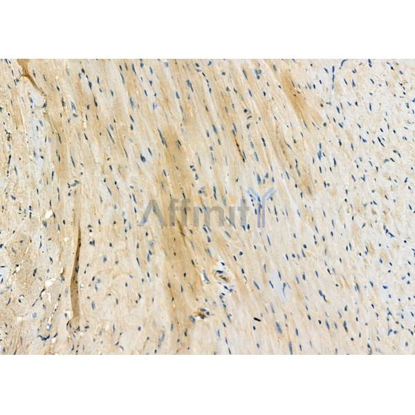 Валидация Affinity DF3681 - 14694