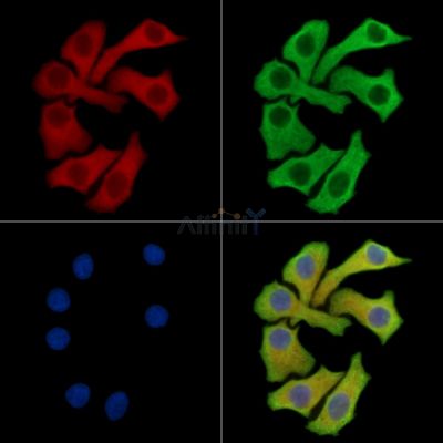 Валидация Affinity DF15156 - 11425