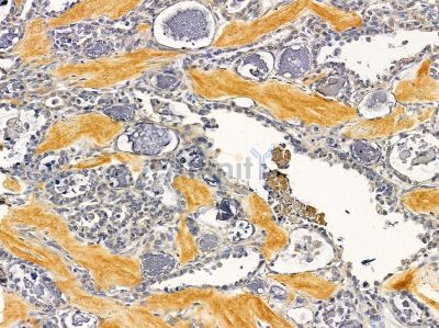 Валидация Affinity DF12873 - 7610