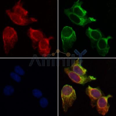 Валидация Affinity AF5324 - 2892