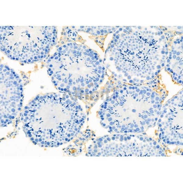 Валидация Affinity DF12491 - 7063