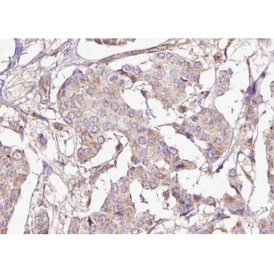 Валидация Affinity AF3487 - 2014