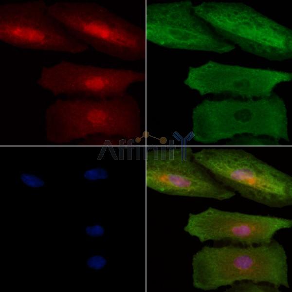 Валидация Affinity DF2566 - 13237