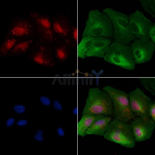 Валидация Affinity AF6367 - 3661