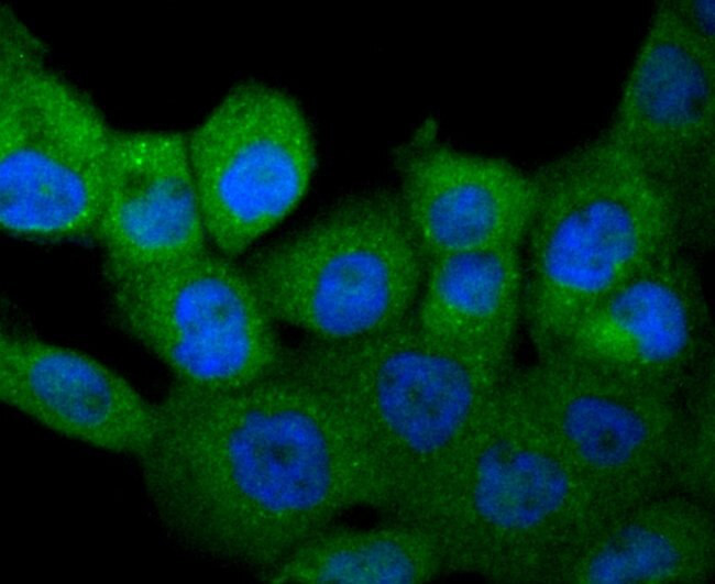 Валидация AssayVector ARM1811(2332)