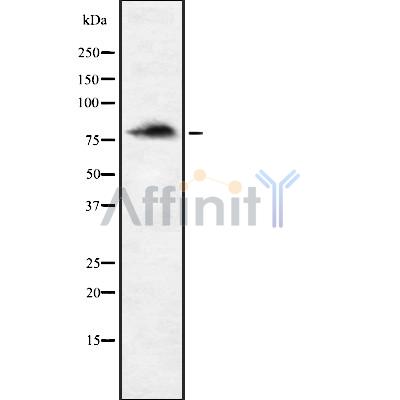 Валидация Affinity DF8286 - 20133