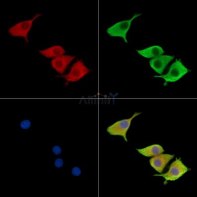 Валидация Affinity DF15623 - 12057