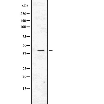 Валидация Affinity DF7677 - 19447