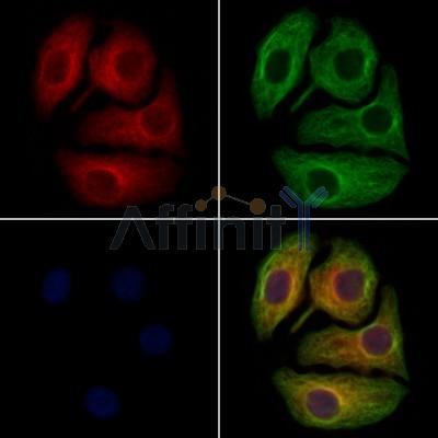 Валидация Affinity AF7649 - 4326