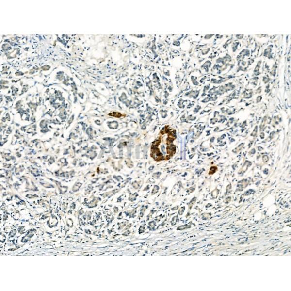 Валидация Affinity AF5105 - 2459