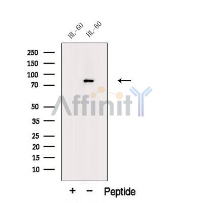 Валидация Affinity DF12528 - 7128