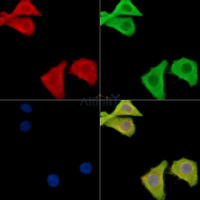 Валидация Affinity DF8674 - 20647