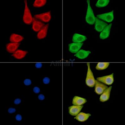 Валидация Affinity DF14414 - 10354