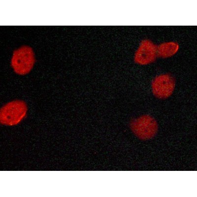 Валидация Affinity AF6058 - 3262