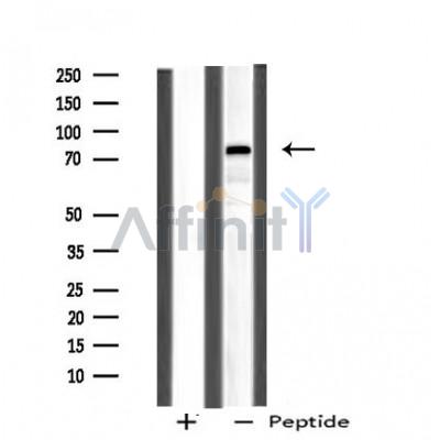 Валидация Affinity DF4733 - 16435