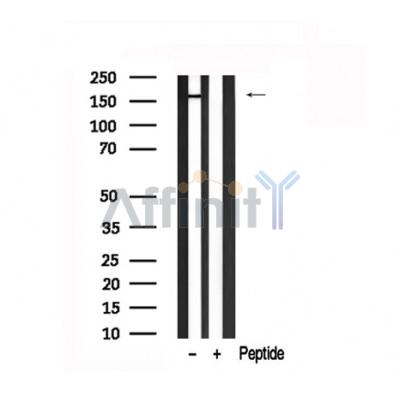 Валидация Affinity AF7669 - 4350