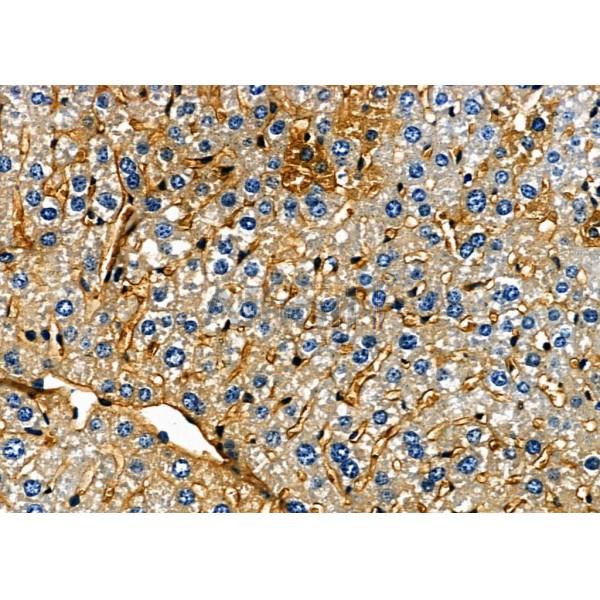 Валидация Affinity DF7790 - 19604