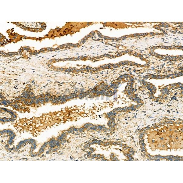 Валидация Affinity AF5389 - 3027