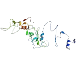 Purinergic Receptor P2X, Ligand Gated Ion Channel 4 (P2RX4) Purinergic Receptor P2X, Ligand Gated Ion Channel 4 (P2RX4)