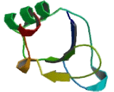 CD2 Binding Protein 2 (CD2BP2) CD2 Binding Protein 2 (CD2BP2)
