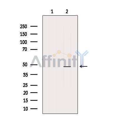 Валидация Affinity DF9324 - 21797