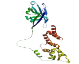 Speckle Type POZ Protein (SPOP) Speckle Type POZ Protein (SPOP)