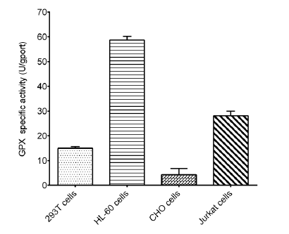 Валидация E-BC-K809-M - 560