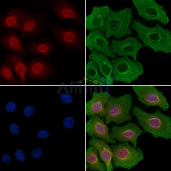 Валидация Affinity DF3193 - 14010