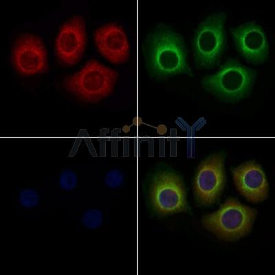 Валидация Affinity DF4152 - 15471