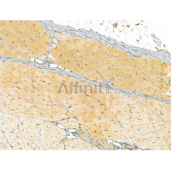 Валидация Affinity DF12226 - 6513