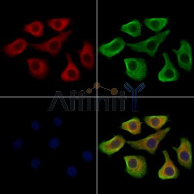 Валидация Affinity DF13542 - 8970