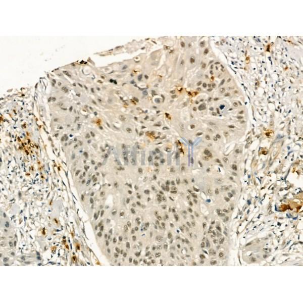 Валидация Affinity DF13270 - 8366