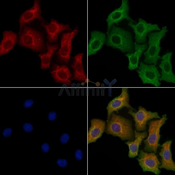 Валидация Affinity DF13327 - 8503