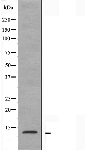 Валидация Affinity DF3681 - 14693