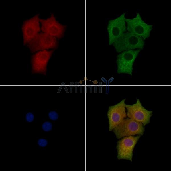 Валидация Affinity DF2238 - 12779