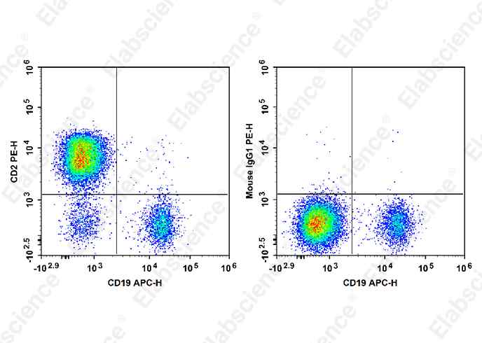Валидация Elabscience E-AB-F1311D