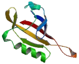 Aryl Hydrocarbon Receptor Nuclear Translocator (ARNT) Aryl Hydrocarbon Receptor Nuclear Translocator (ARNT)