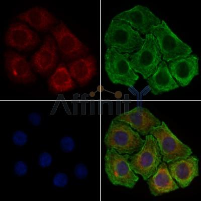 Валидация Affinity DF3699 - 14729