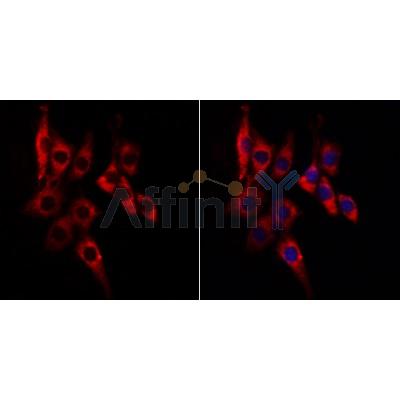 Валидация Affinity BF9208 - 5418