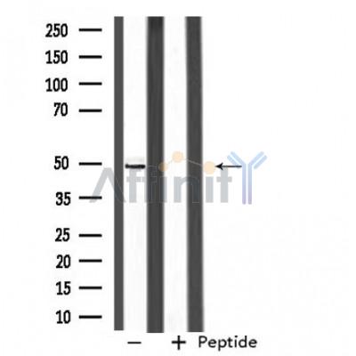 Валидация Affinity DF4459 - 15980
