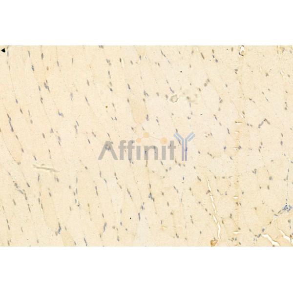 Валидация Affinity AF6032 - 3233