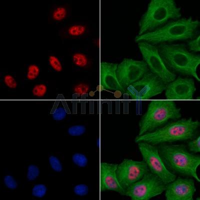 Валидация Affinity DF2366 - 12942