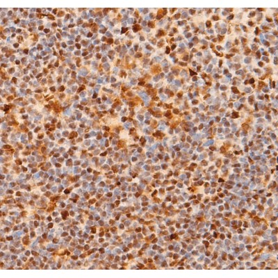 Валидация Affinity AF5307 - 2859