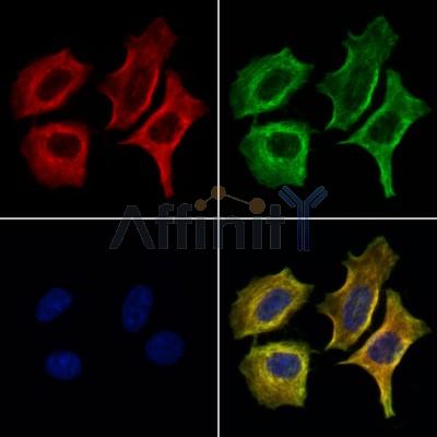 Валидация Affinity DF13647 - 9201