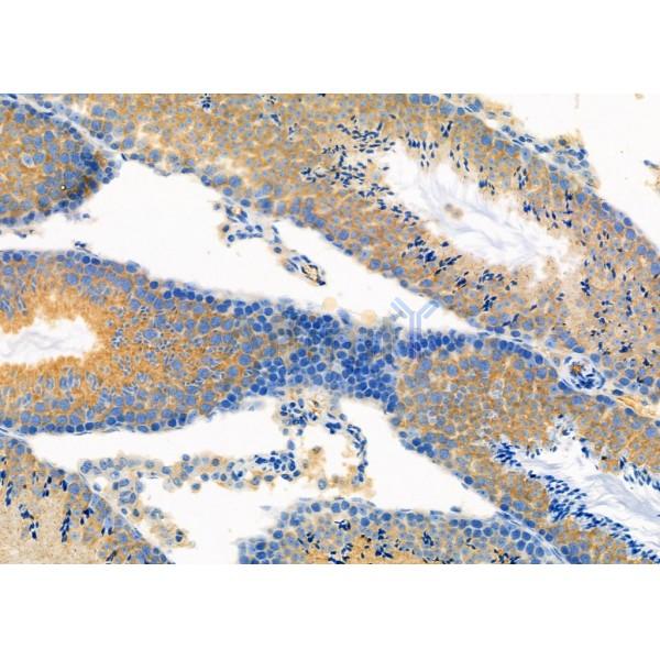 Валидация Affinity DF12391 - 6870