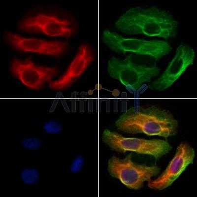 Валидация Affinity DF12277 - 6623