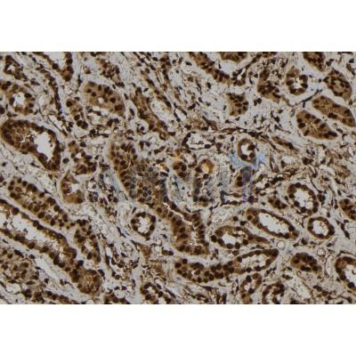 Валидация Affinity DF7523 - 19271