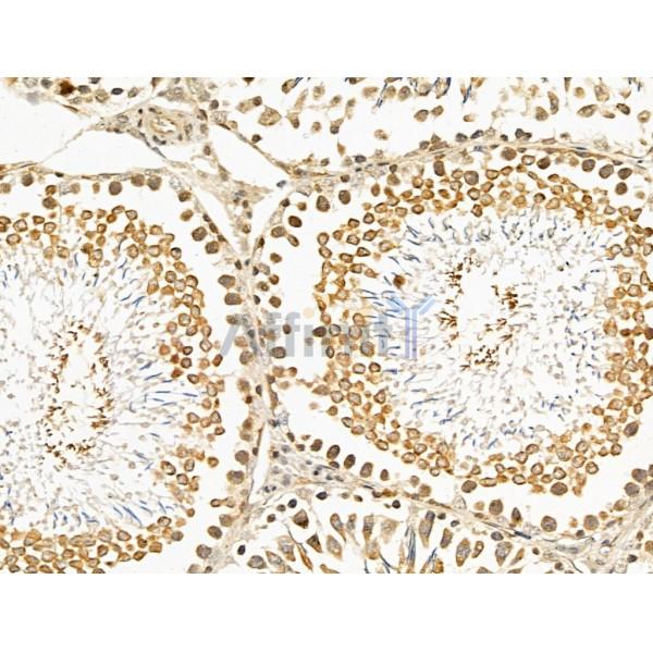 Валидация Affinity DF13565 - 9020