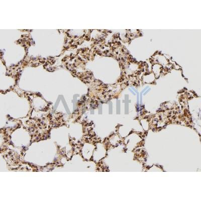 Валидация Affinity AF6334 - 3607