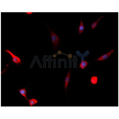 Валидация Affinity BF0721 - 5392